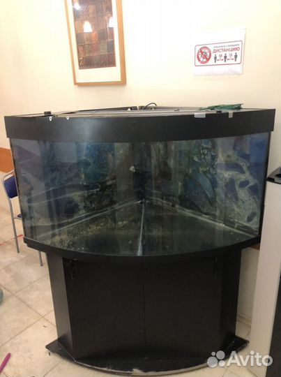 Аквариум угловой 500 литров