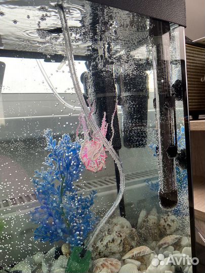 Аквариум