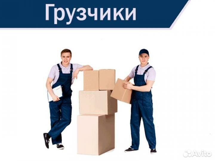 Грузчики /вахта /Владимирская обл. г. Киржач/РФ/рб