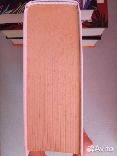 Джонатан Франзен 