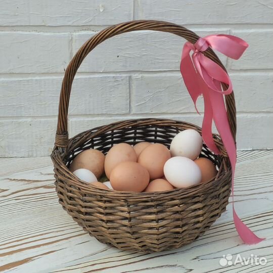 Домашние куриные яйца