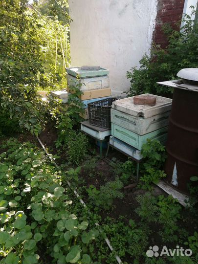 Улей, все для пасики и пчел