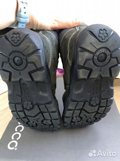 Ecco еврозима