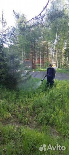 Уничтожение обработка клопов тараканов Дезинфекция