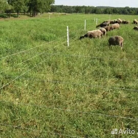 Электропастух с гарантией