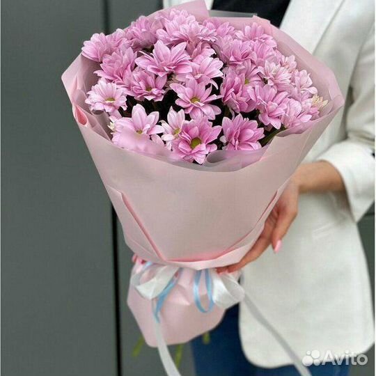 Куст. хризантема