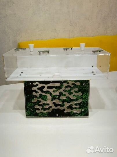 Формикарий (муравьиная ферма)