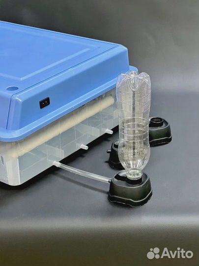 Инкубатор для яиц автоматический, терморегулятор