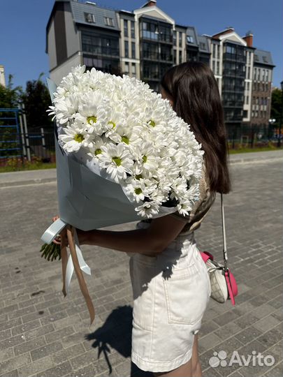 Букет из 21 хризантемы ромашковой. Цветы доставка