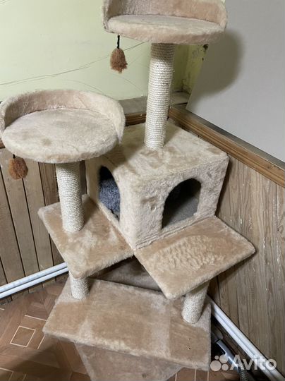 Когтеточка