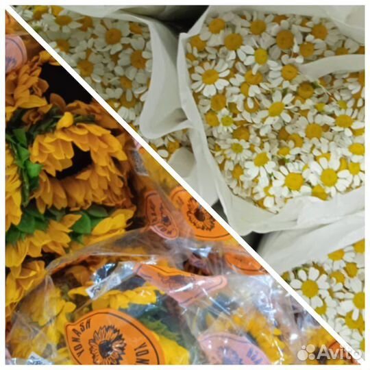 Эустома и другие цветы оптом