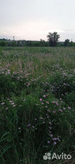 Сено в тюках и рулонах-укос 2023года