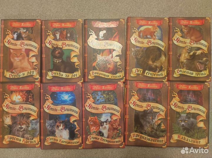 Серия книг Коты-воители