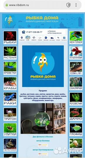 Ассортимент в магазине Аквариумные рыбки и растени