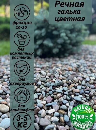 Речная галька/морская галька/миотис-для аквариума