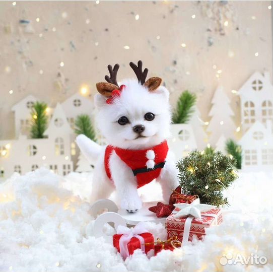 Набор для создания живой игрушки