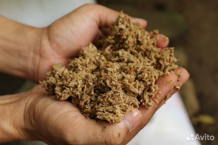 Пивная дробина