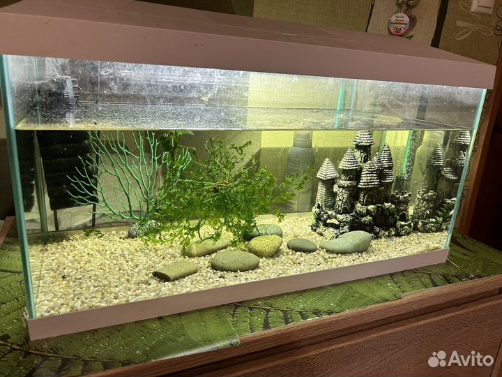 Аквариум 60л