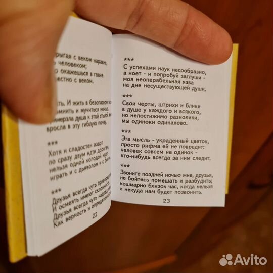 Книга - миниатюра 