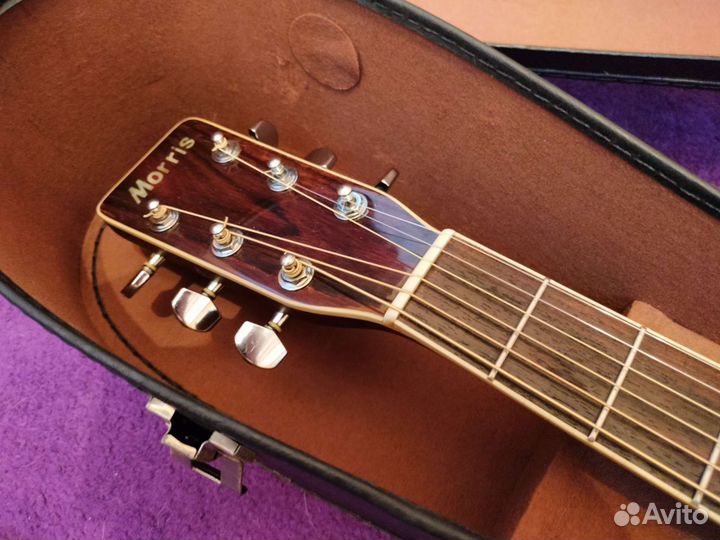 Акустическая гитара Morris md-515