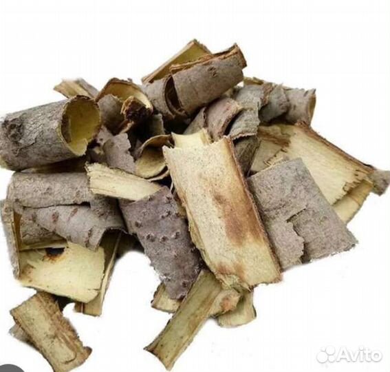Осиновая кора