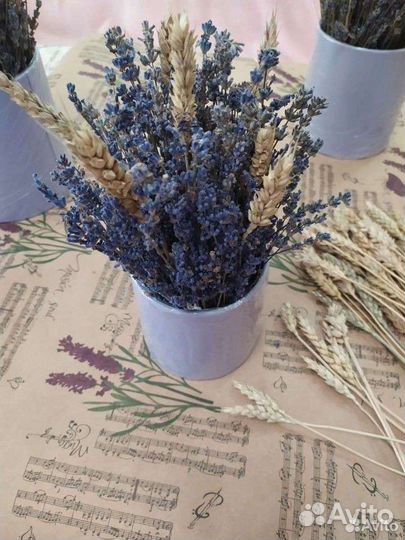 Лаванда Оригинальные букеты(лавандовая свадьба)