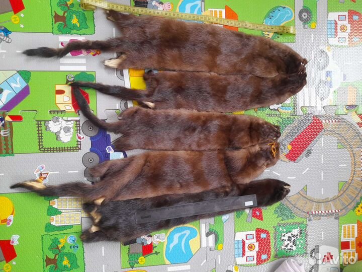 Шкурка шкура норки