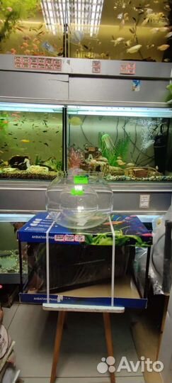 Аквариум 38 литров плюс крышка с подсветкой