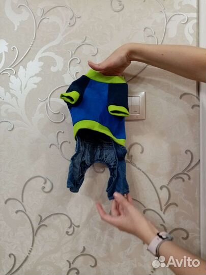 Одежда для собак мелких пород