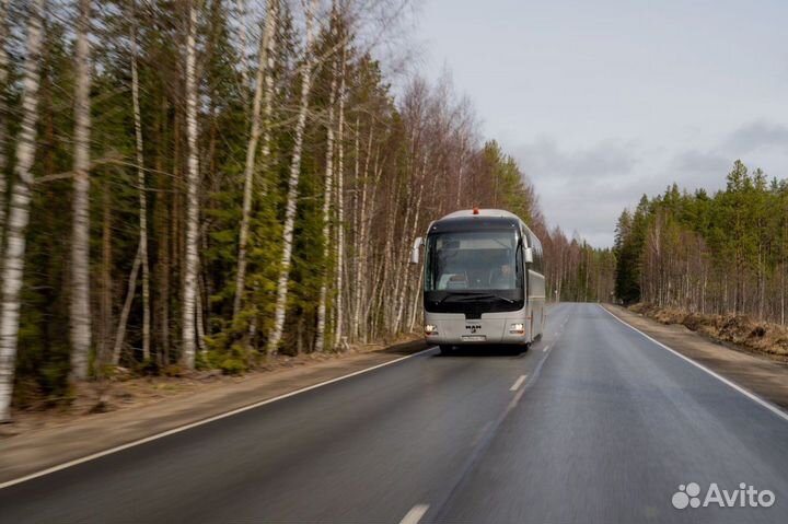 Аренда автобуса. Пассажирские перевозки