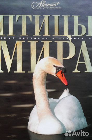 Энциклопедии Самые красивые и знаменитые Аванта+