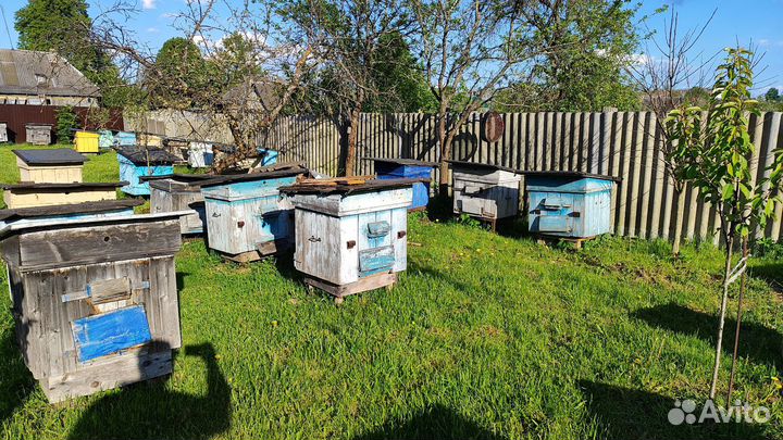 Улей для пчел