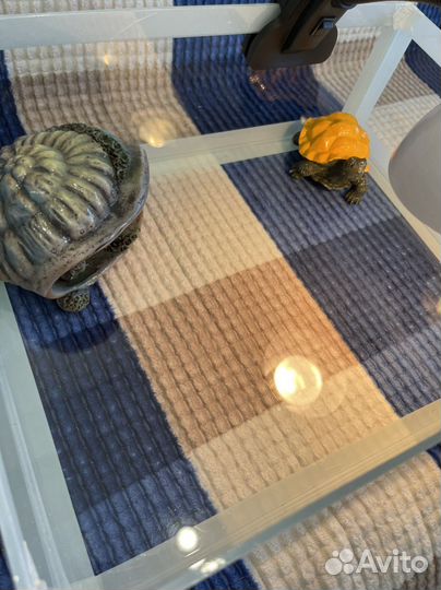 Террариум для сухопутной черепахи