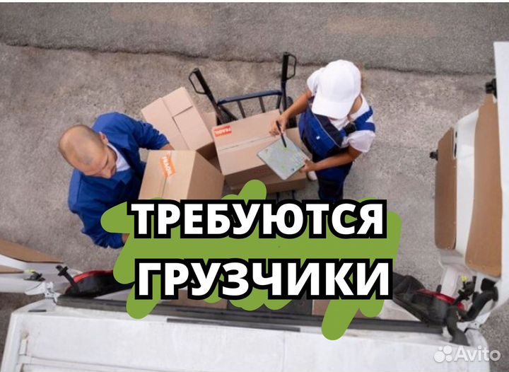 Грузчик с ежедневной выплатой.tu719