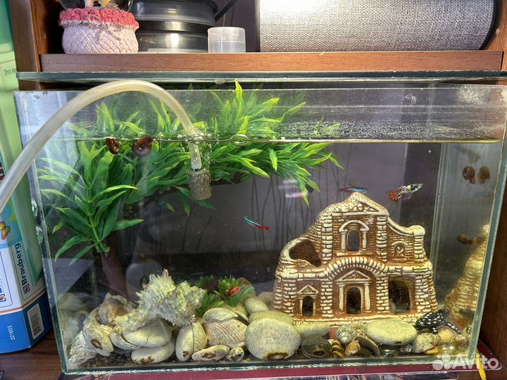 Аквариум с рыбками