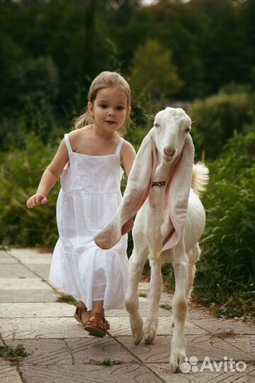 Фотограф Сочи, Адлер, Красная Поляна