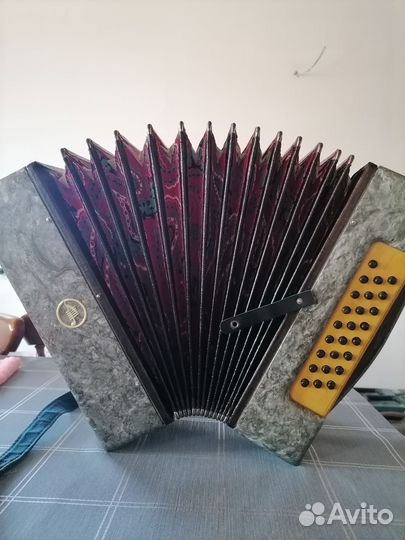 Гармонь кубань