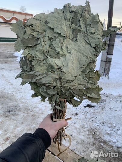 Веники дубовые