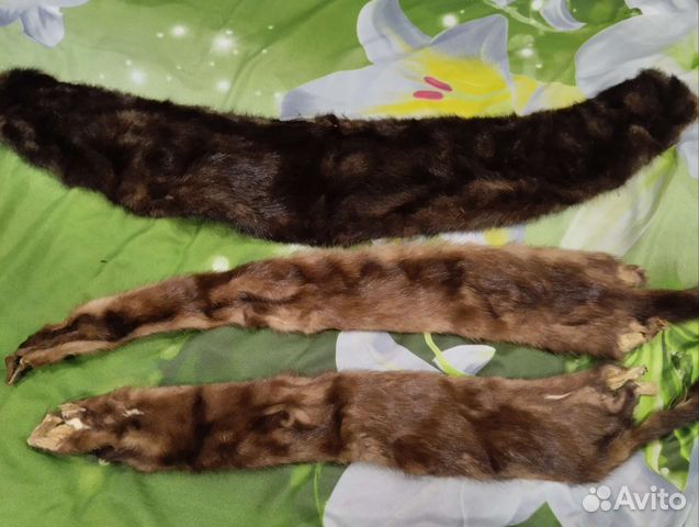 Шкурка животного норки