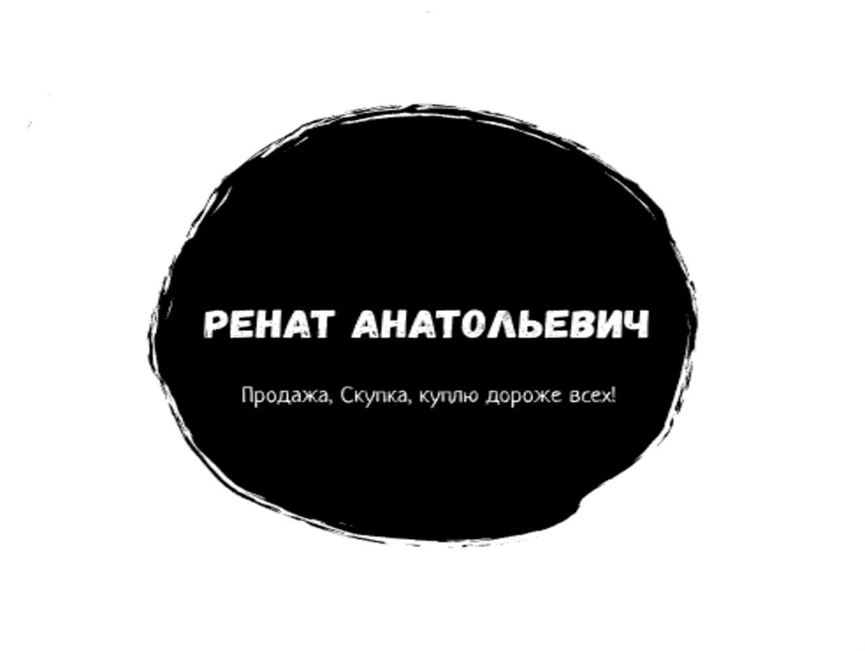 Ренат Анатольевич. Профиль пользователя на Авито