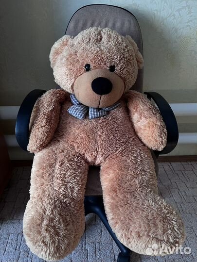 Плюшевый медведь