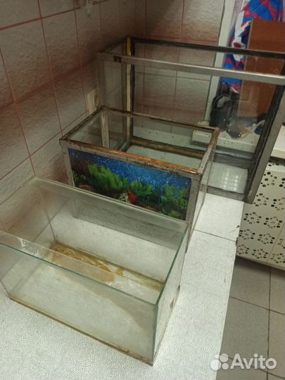 Террариумы из аквариумов - 3 шт