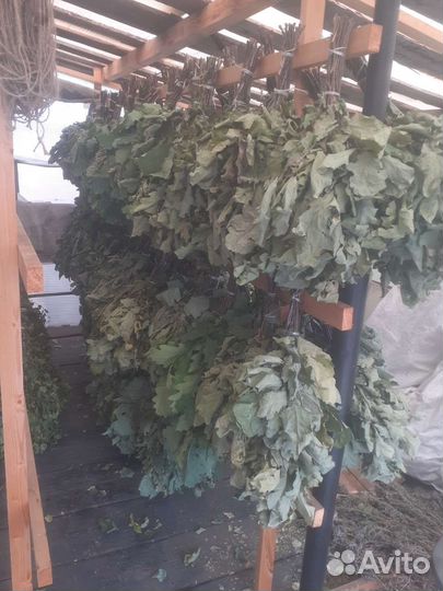 Веники берёза 75р1шт дуб 120-150р1шт