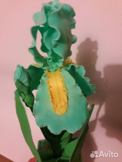 Ирис в горшке