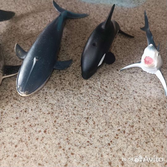 Большие рыбы для плаванья, комплект для купания