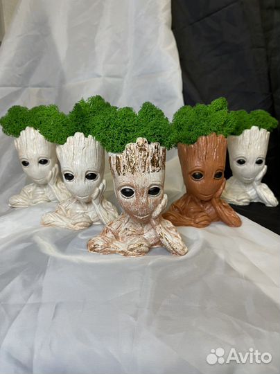 Грут с стабилизированным мхом