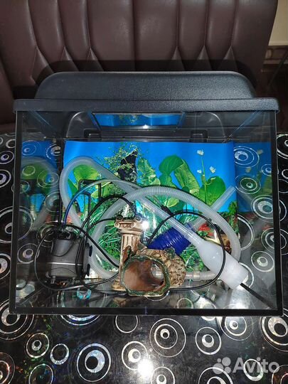 Аквариум б/у с принадлежностями