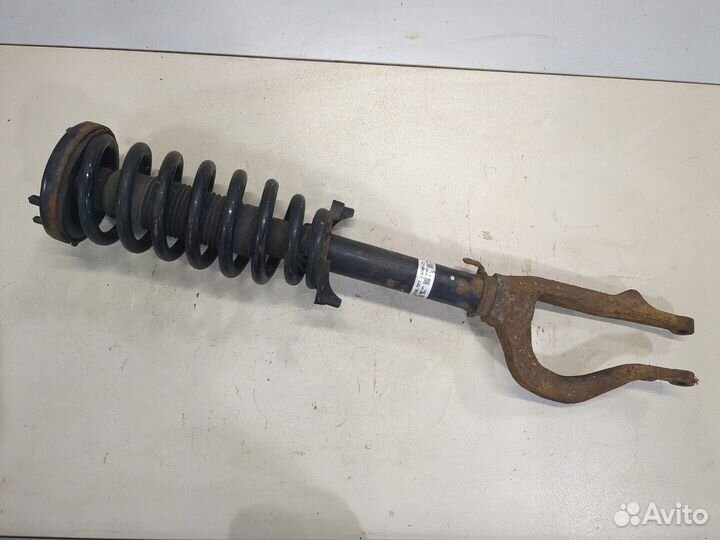 Амортизатор подвески Honda Crosstour, 2010