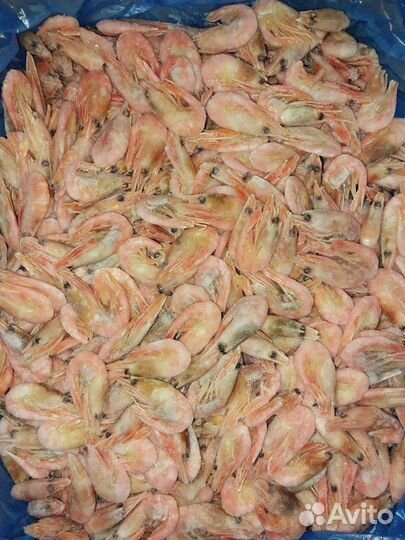 Креветки северные в/м