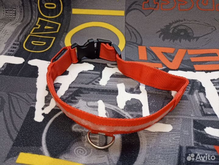 Амуниция для собак